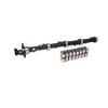 CAM/LIFTERS B 252 SM285H1 - image 1