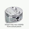 400 CHEVY 15 DOME GLS 2618 - image 1