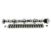 CAM/LIFTERS 351W SS284HR1 - image 1