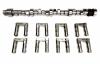 Voodoo Retrofit Hydraulic Roller Camshaft & Lifters Pontiac V8 - image 1