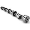 Voodoo Hydraulic Roller Camshaft GM LS - image 1