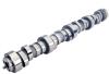 Voodoo Hydraulic Roller Camshaft GM V8 LS GEN III/IV Lift: .651 in. / .651 in. - image 1