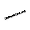 Lunati Hydraulic Camshafts / Cam & Lifter Kits - image 1