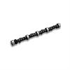 Lunati Hydraulic Camshafts / Cam & Lifter Kits - image 1