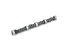 Lunati Hydraulic Camshafts / Cam & Lifter Kits - image 1