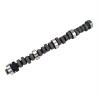 CAM FORD BOSS V8 DR285S06 - image 1