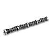 CAM FORD 428 V8 DR290S08 - image 1