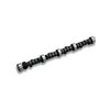 Lunati Cams MECH -SB CHEVY 306/519 - image 1