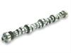 CAM FORD 302 V8 SS286SR10 - image 1