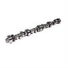 CAM FORD 302 V8 DR296SR06 - image 1