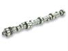 CAM FORD 460 V8 SS285SR10 - image 1