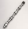 CAM PONT 55-81 V8 SS290SR - image 1
