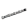 Solid Roller Tappet Camshaft Big Block Chevy - Drag Race - image 1