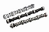 VOODOO SBC HYD F/T CAM ONLY 250 - image 1