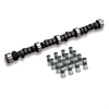 VOODOO CAM & LIFTER KIT - image 1