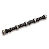 Street Master Hydraulic Flat Tappet Camshaft - image 1