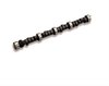 Street Master Hydraulic Flat Tappet Camshaft - image 1