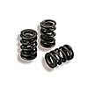 INTRO-VALVE SPRING-12PC - image 1