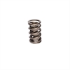 Cams VALVE SPRINGS (1) - image 1