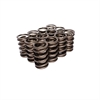 INTRO-VALVE SPRING-12 PC - image 1