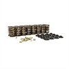 Valve Spring Kit - 73100 75744 77012 - image 1
