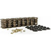 Valve Spring Kit Lock Angle: 7 Deg - image 1
