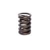 INTRO-VALVE SPRING-1 PC - image 1