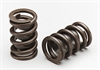 INTRO-VALVE SPRING-1 PC - image 1