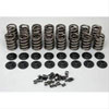 Dual Valve Spring Kit Includes: Valve Spring : 638-73124-16 - image 1