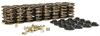 Valve Spring Kit - Lock Angle: 7 Degrees [Set of 16] - image 1