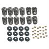 Valve Spring Kit - Lock Angle: 7 Degrees [Set of 12] - image 1