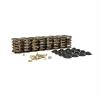 KIT 1.55 VALVE SPRING - image 1