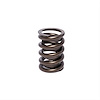 INTRO-VALVE SPRING-1 PC - image 1