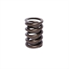 INTRO-VALVE SPRING-1 PC - image 1