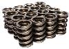 Dual Valve Springs OD: 1.550" - image 1