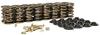 Valve Spring Kit - Lock Angle: 10 Degrees [Set of 16] - image 1
