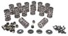 Valve Spring Kit - Lock Angle: 10 Degrees [Set of 16] - image 2