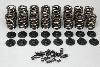 Valve Spring Kit Lock Angle: 7 Deg - image 1