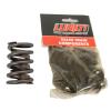 KIT 1.5 VALVE SPRING - image 1