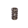 INTRO-VALVE SPRING-1 PC - image 1