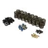 Valve Spring Kit for Select 1993-1997 Ford GT40/GT40P - image 1