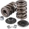 Valve Spring Kit 3/8" - image 1