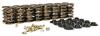 Valve Spring Kit - Lock Angle: 7 Degrees [Set of 16] - image 1