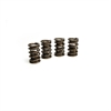 VALVE SPRGS 1.510 DUAL W/ - image 1