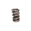 1.645 TRIPLE VALVE SPRING SINGLE - image 1