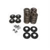 KIT 1.460 DUAL VALVE SPRI - image 1