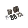 KIT 1.460 DUAL VALVE SPRI - image 1