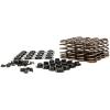 Valve Spring Kit 10 Deg - image 1
