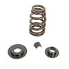 KIT 1.415 VALVE SPRING - image 2