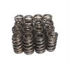 VALVE SPRINGS LS STOCK EL - image 1
